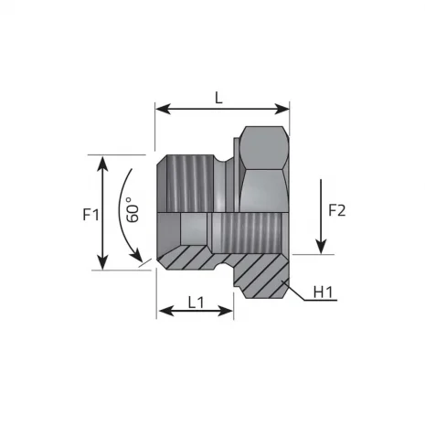 REDUCING BUSH MALE BSPP – FIXED FEMALE BSPP
