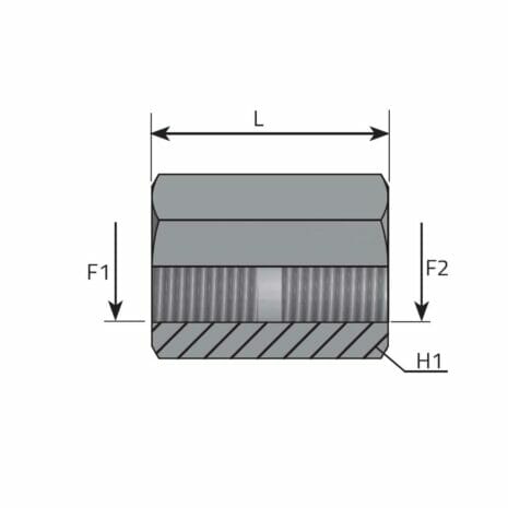 ADAPTOR FIXED FEMALE BSPP - FEMALE BSPP hydraulicplanet Technical diagram of the ADAPTOR FIXED FEMALE BSPP - FEMALE BSPP, cylindrical, with labelled dimensions: length (L), forces (F1, F2), and height (H1); cross-sectional view included.