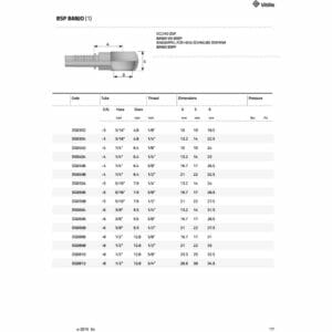 hydraulicplanet Technical table and diagram of BSP BANJO hydraulic fittings, displaying dimensions, codes, hose sizes, diameters, and pressure ratings for different models.