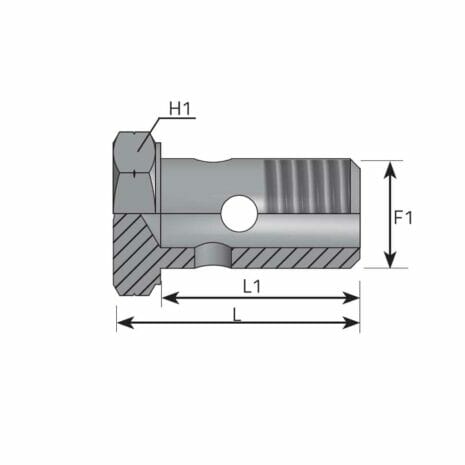 hydraulicplanet Cross-sectional technical drawing of the BSPP BANJO BOLT mechanical component, showing BSPP threads and labelled dimensions H1, F1, L1, and L.