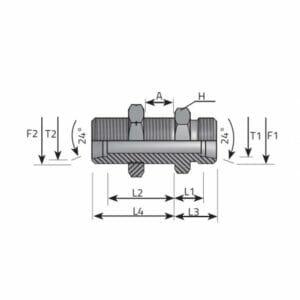hydraulicplanet Technical diagram of the DIN MALE BULKHEAD CONNECTION - DIN MALE showing a cylindrical shape, two bolts, DIN male bulkhead connection, and labelled dimensions for lengths, threads, and angles.