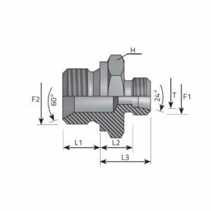 hydraulicplanet Technical diagram of the DIN MALE STUD COUPLING SV 60° - BSPP MALE (LIGHT), displaying threaded sections, labelled dimensions (L1, L2, L3, T, H), and angles SV 60° and 24°.