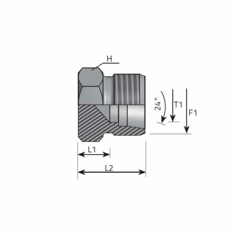 hydraulicplanet Technical drawing of the DIN 24° PIPE PLUG shows labelled dimensions, external threading, a cross-sectional view, and highlights the 24° angle specific to the fitting.