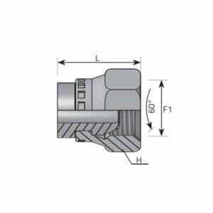 hydraulicplanet Technical diagram of SWIVEL FEMALE CAP BSPP connector, showing side cross-section with labelled dimensions L, F1, H, BSPP thread details, and a 60° angle marked.