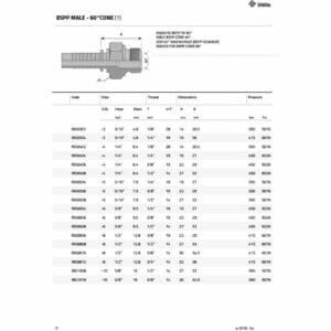 hydraulicplanet Technical specification sheet for BSPP MALE - 60° CONE, featuring a diagram and table with size, dimensions, and pressure ratings for various models.